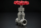 Preview: Stainless Steel Gate valve - 3/4 Inch / Female Thread x Female Thread