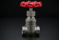 Preview: Stainless Steel Gate valve - 2 Inch / Female Thread x Female Thread
